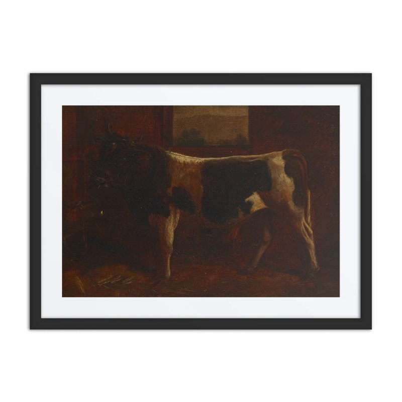 A Prize Bull