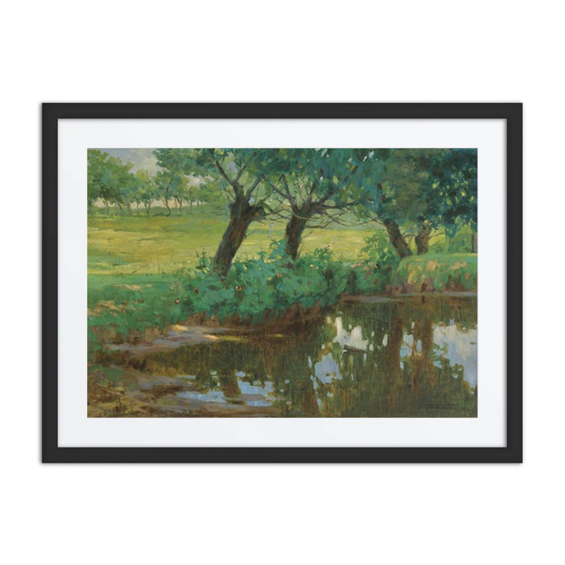 A Quiet Pond