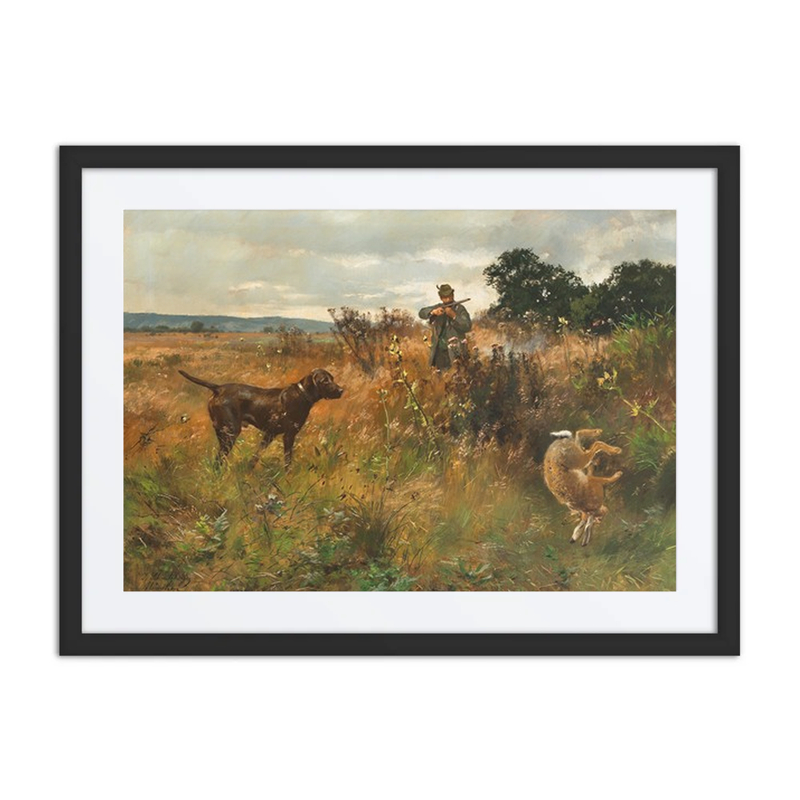 A Rabbit Hunt