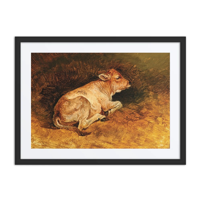 A Reclining Calf