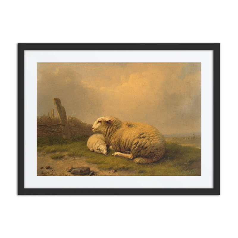 A Resting Sheep and Lamb
