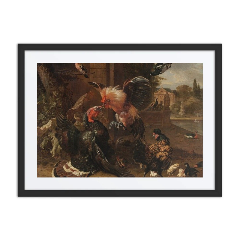 A Rooster and Turkey Fighting
