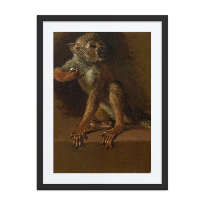 A Seated Squirrel Monkey with an Egg