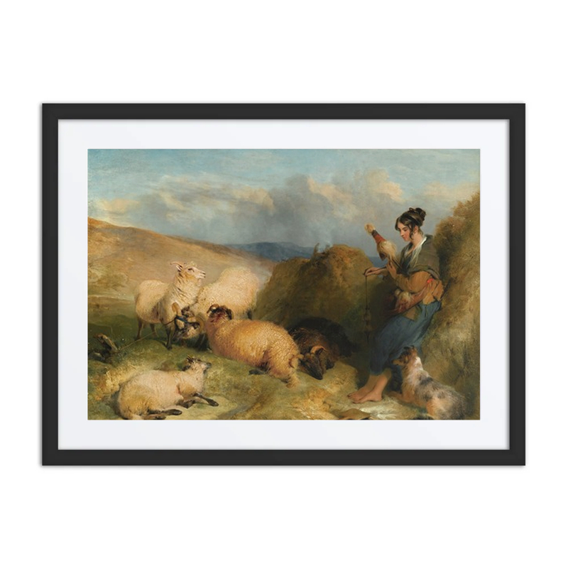 A Shepherdess and Her Flock