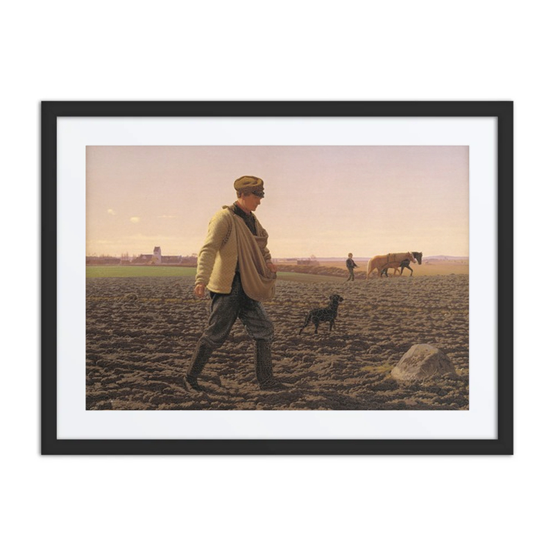 A Sower