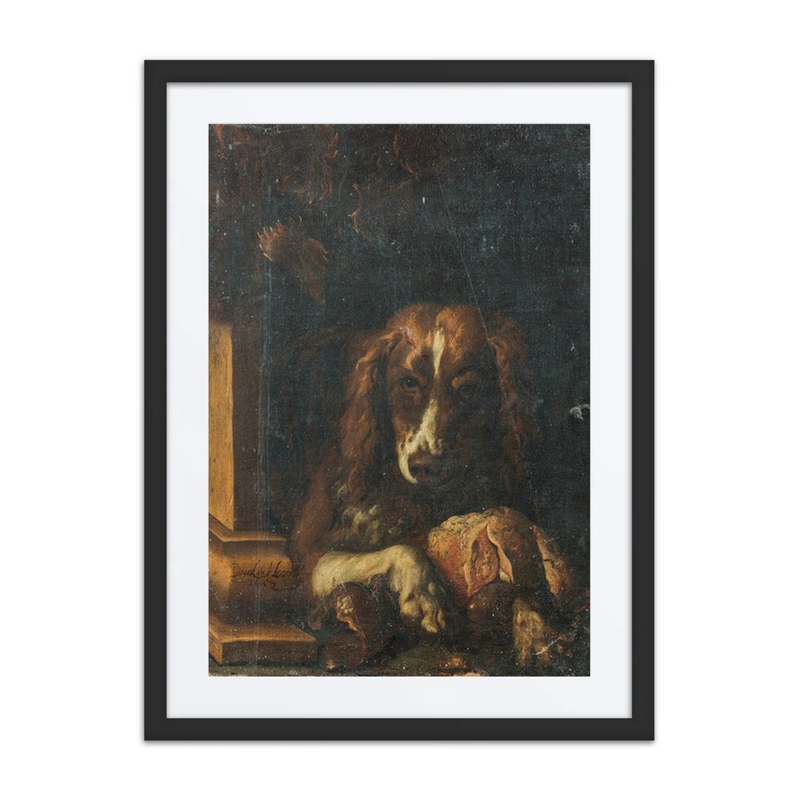 A Spaniel Guarding Meat