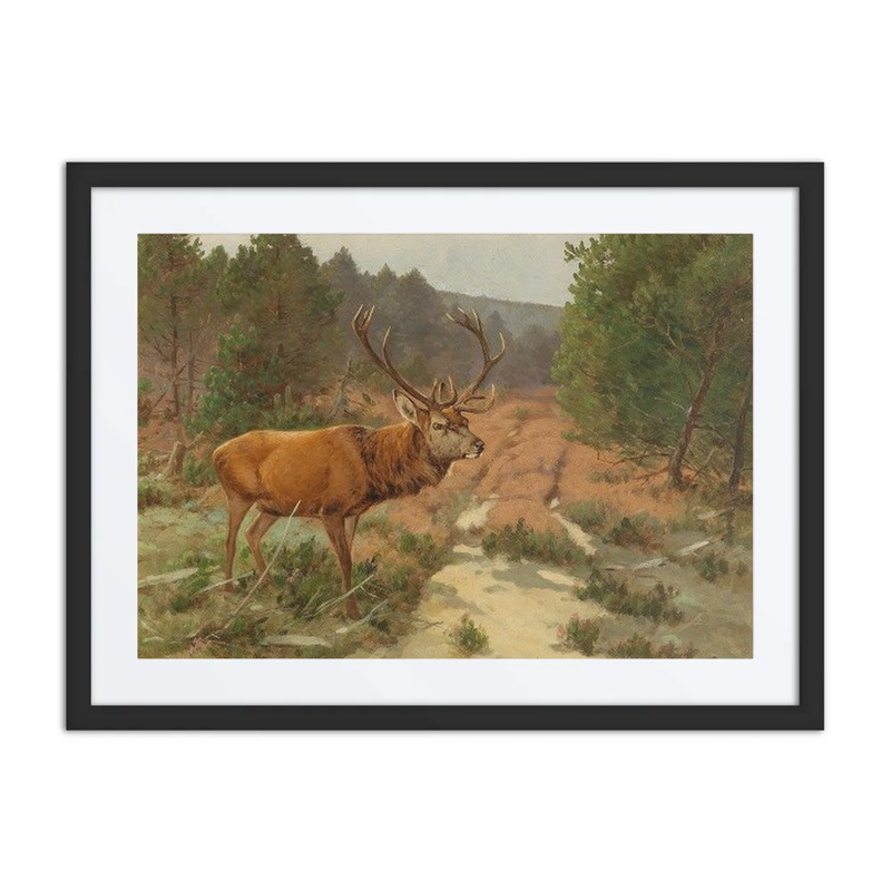 A Stag in a Forest Clearing