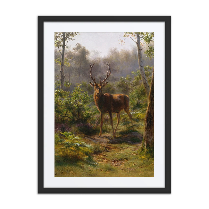 A Stag