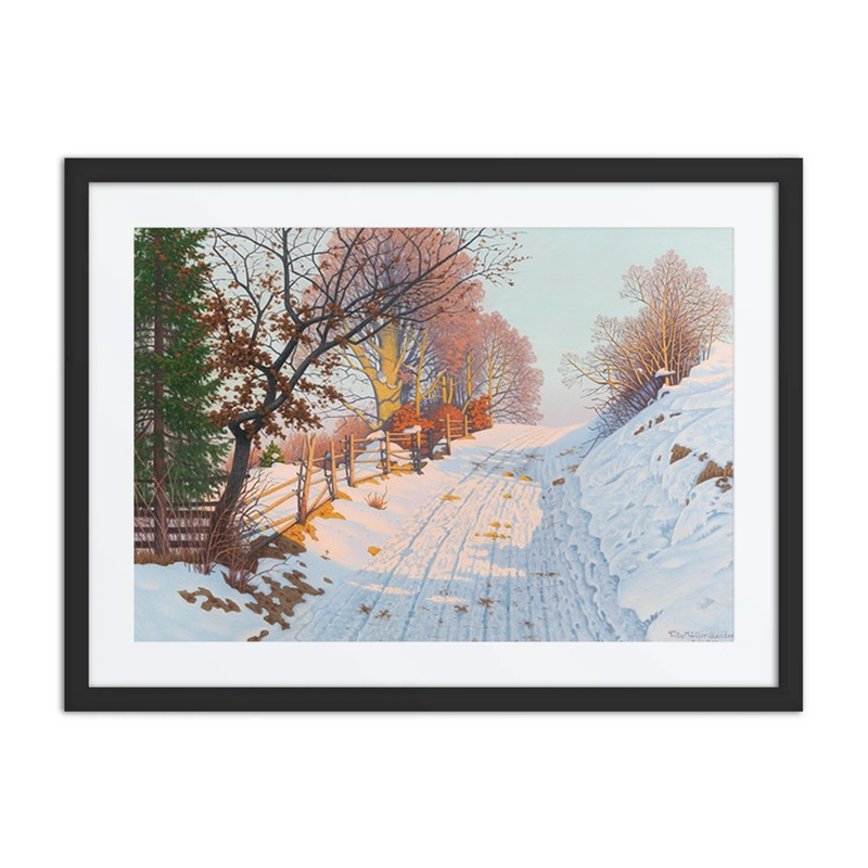 A Sunny Winter Path