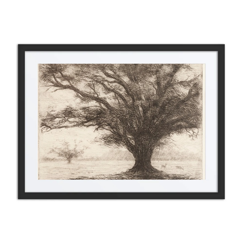 A Tree in Hampton Court Park