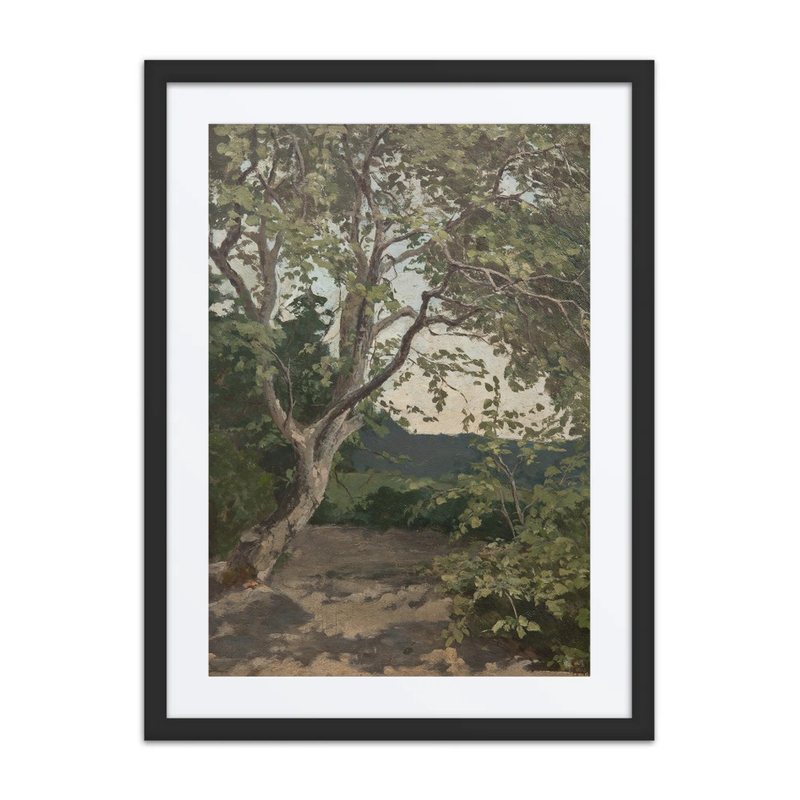 A Tree. Study