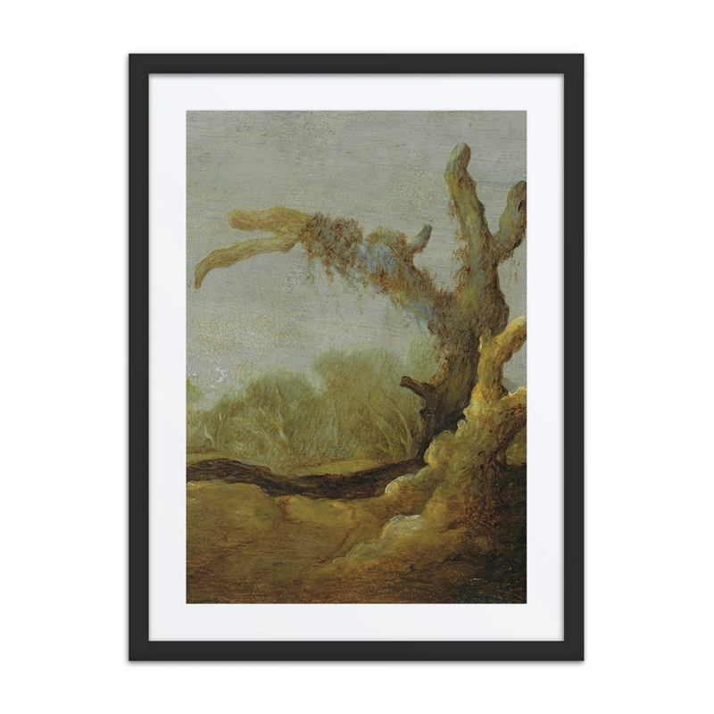 A Tree Trunk in a Landscape
