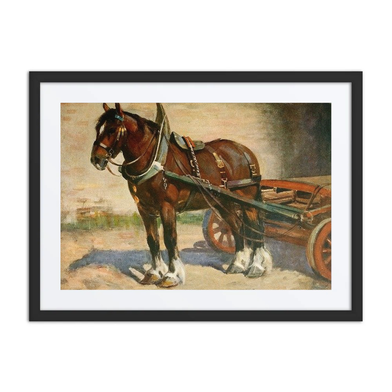 A Typical Clydesdale