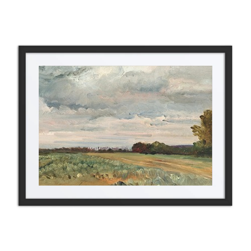 A Vast Landscape