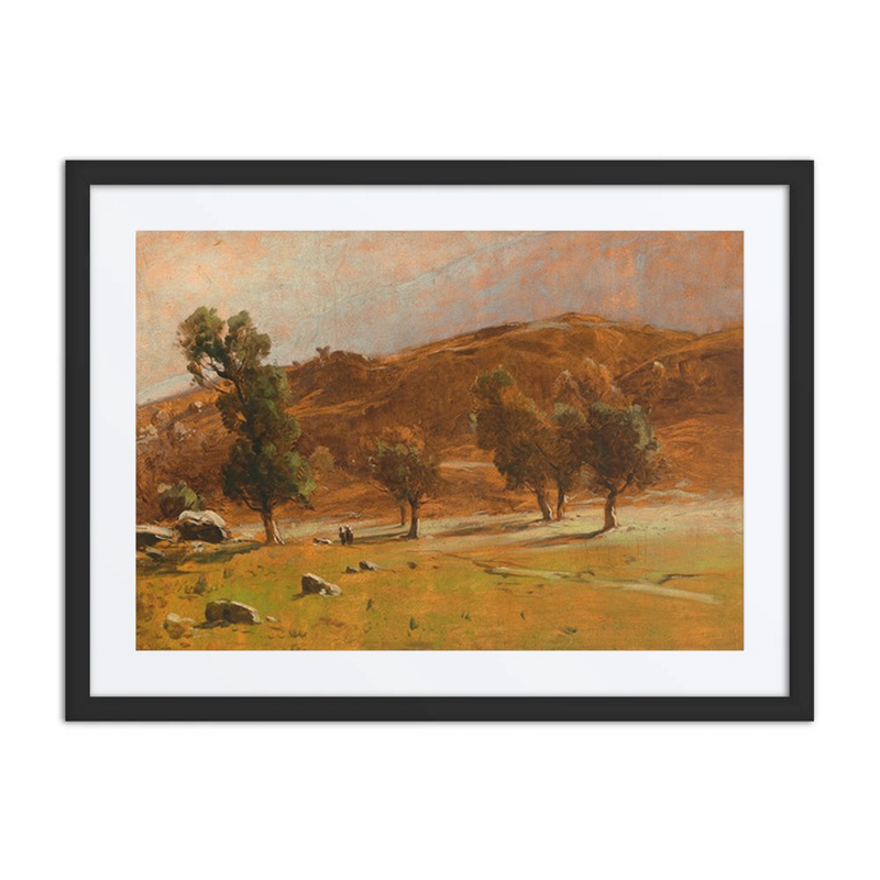 A Vast Landscape