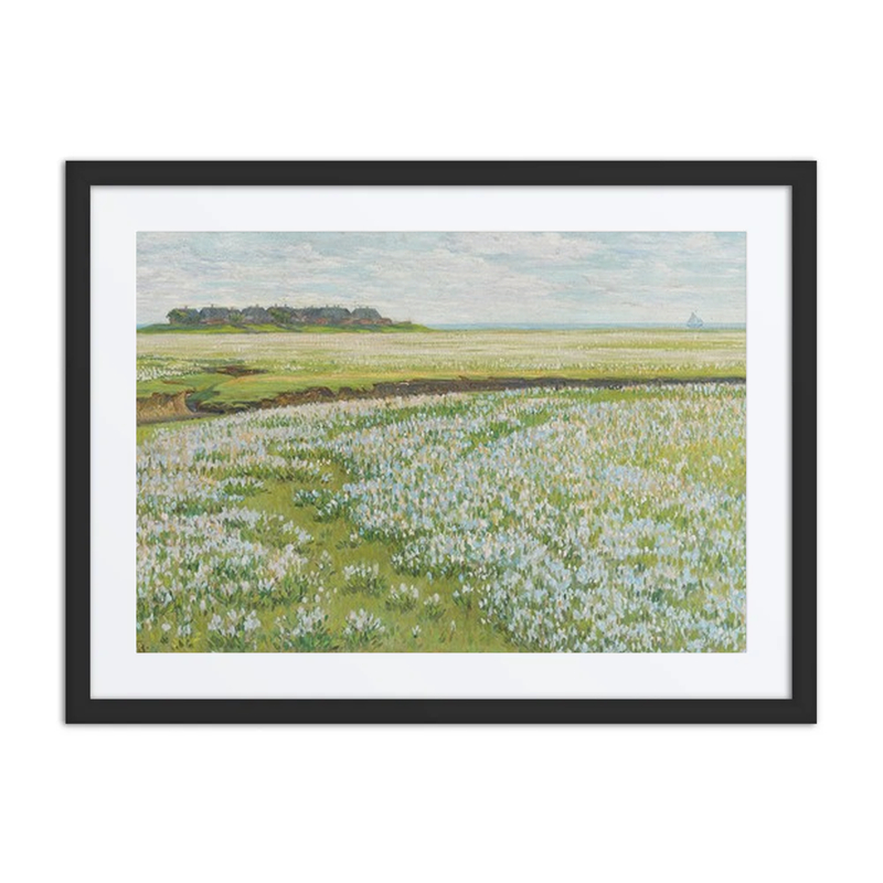 A Vast Summer Landscape