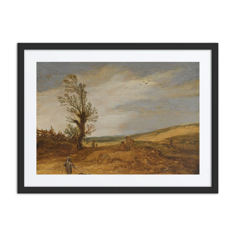 A View in the Dunes