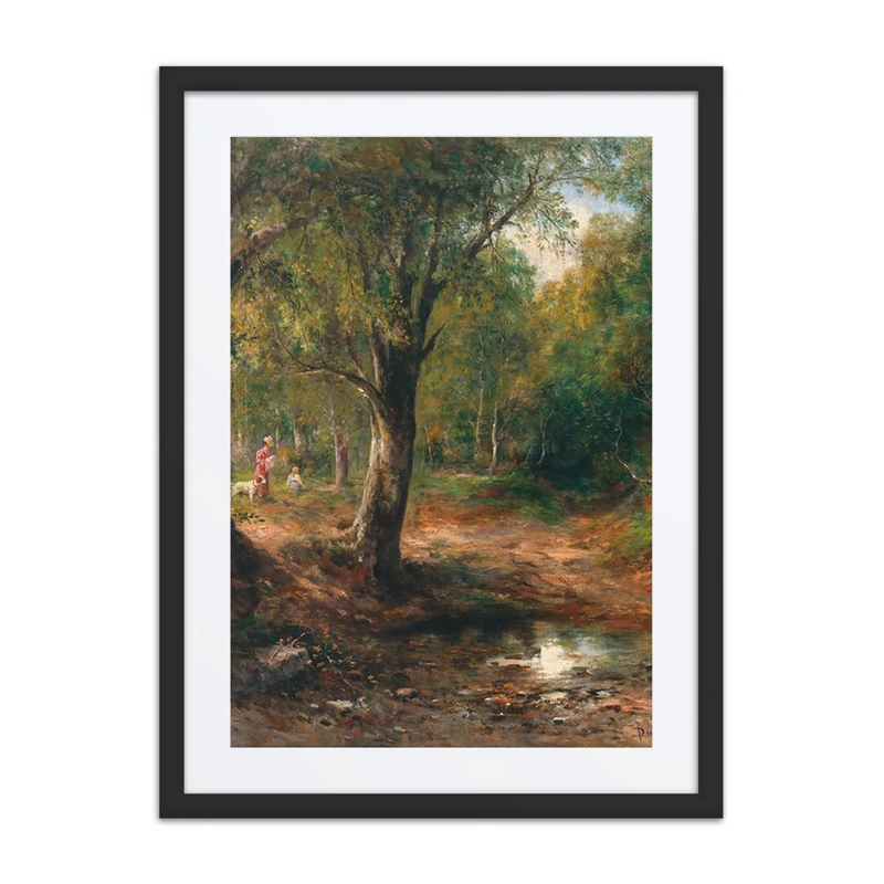 A Walk in the Forest