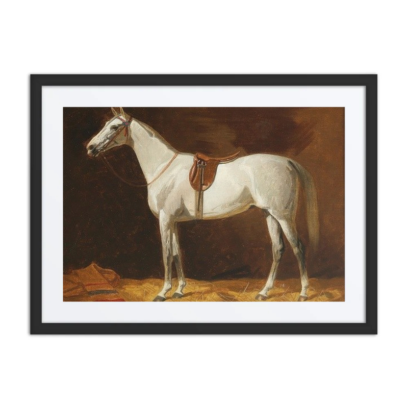 A White Horse