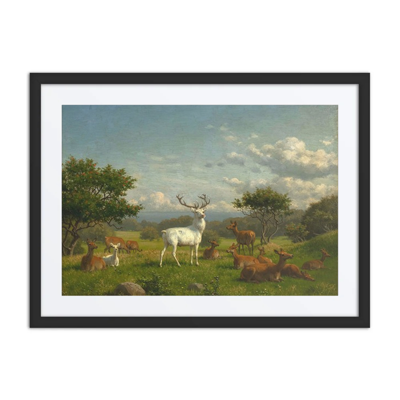 A White Stag with Its Pack