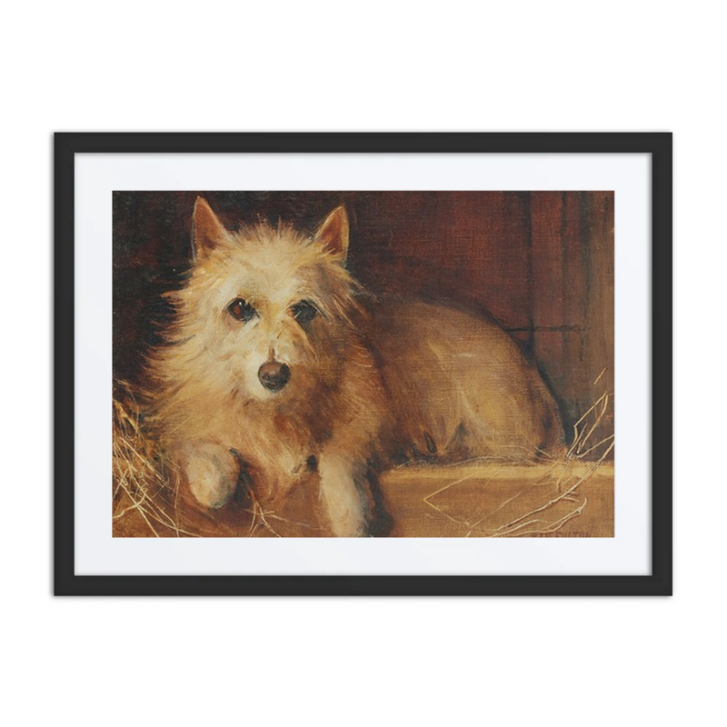 A White Terrier in Its Bed