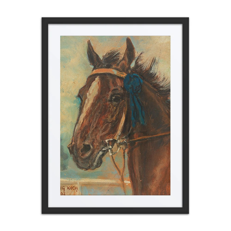 A Winning Horse