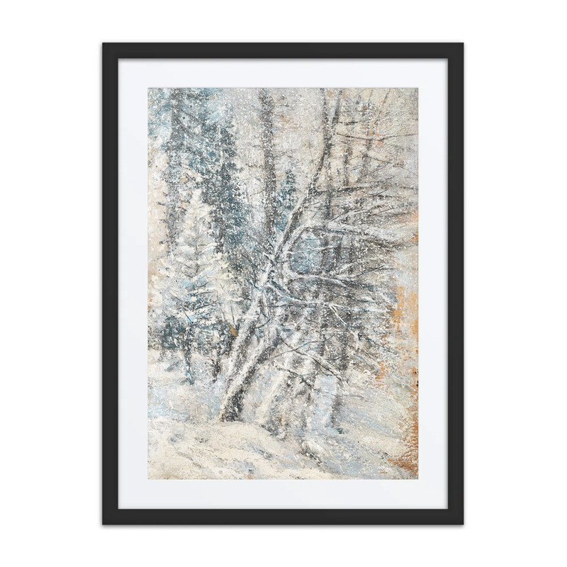 A Wintry Forest