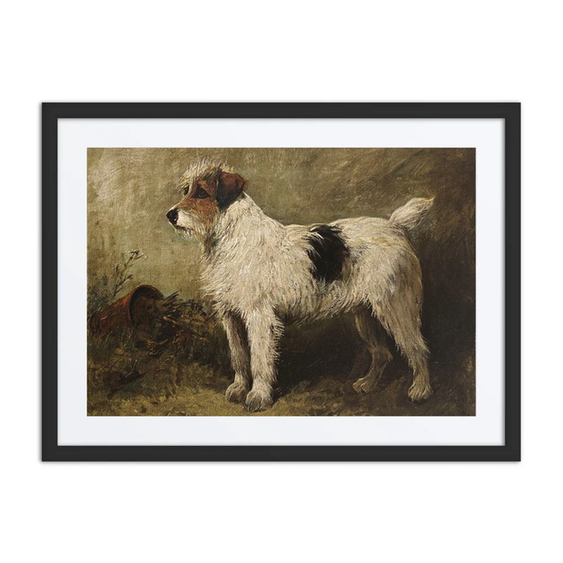 A Wire-Haired Terrier