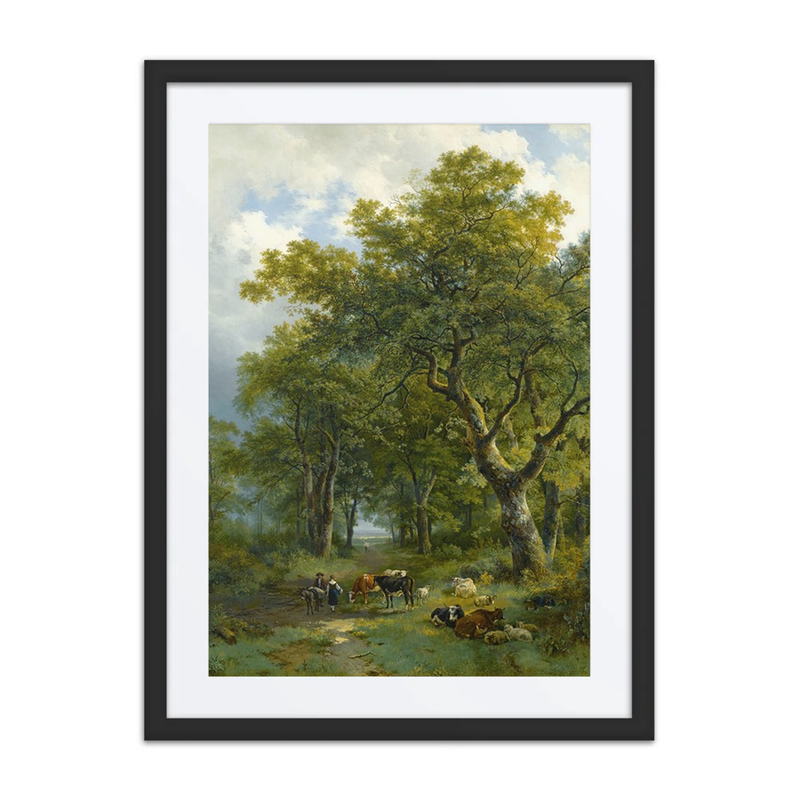 A Wooded Path