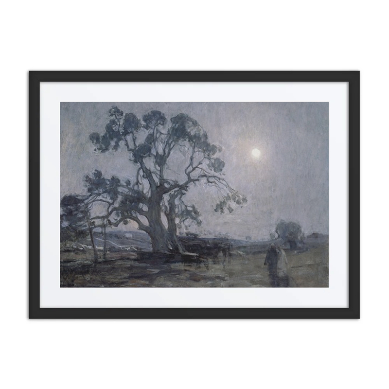 Abraham’s Oak