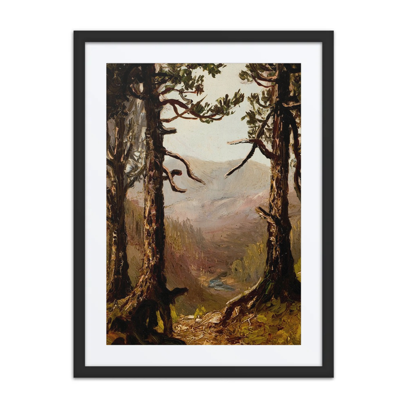 Adirondack Landscape