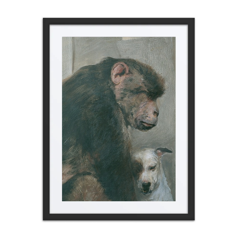 Affe Und Hund