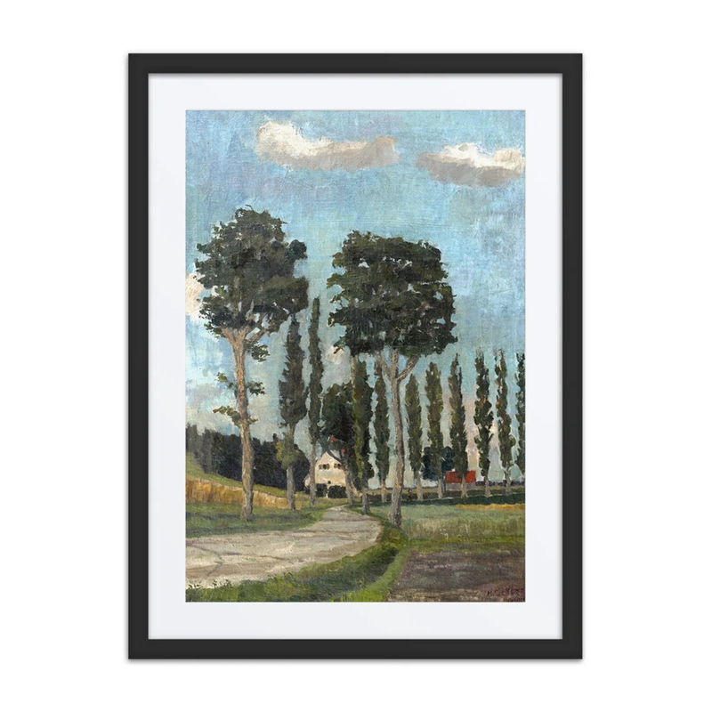 Allee in Der Dachauer Gegend