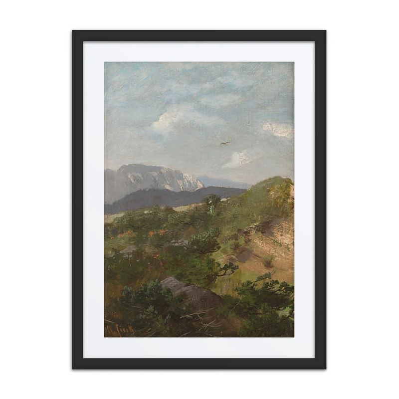 Alpine Landscape