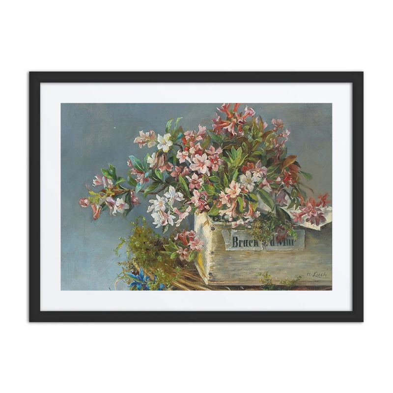 Alpine Roses in a Window Box