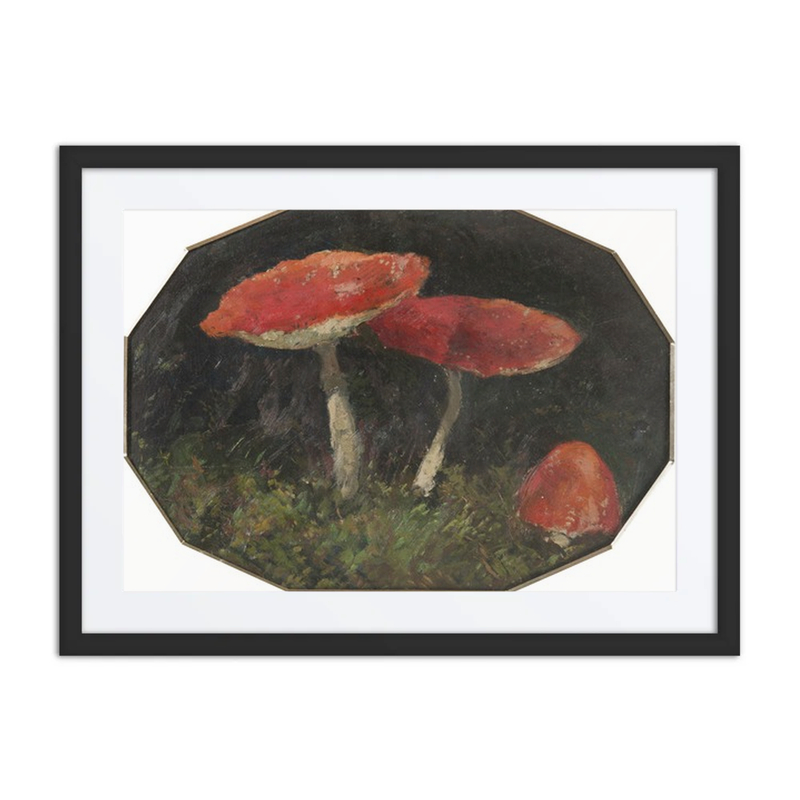 Amanitas