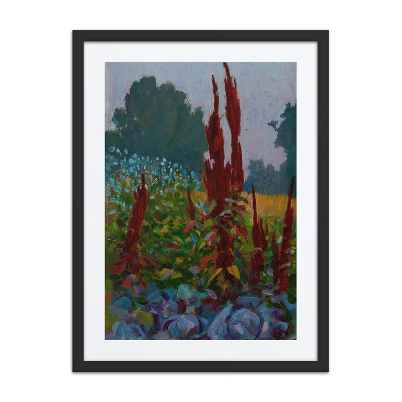 Amaranth