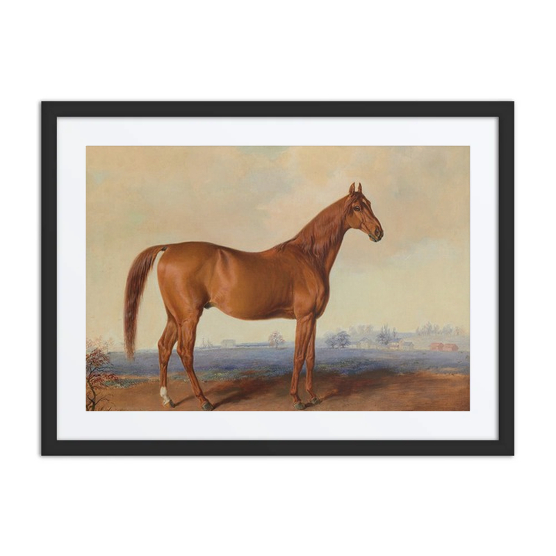 American Eclipse in a Landscape