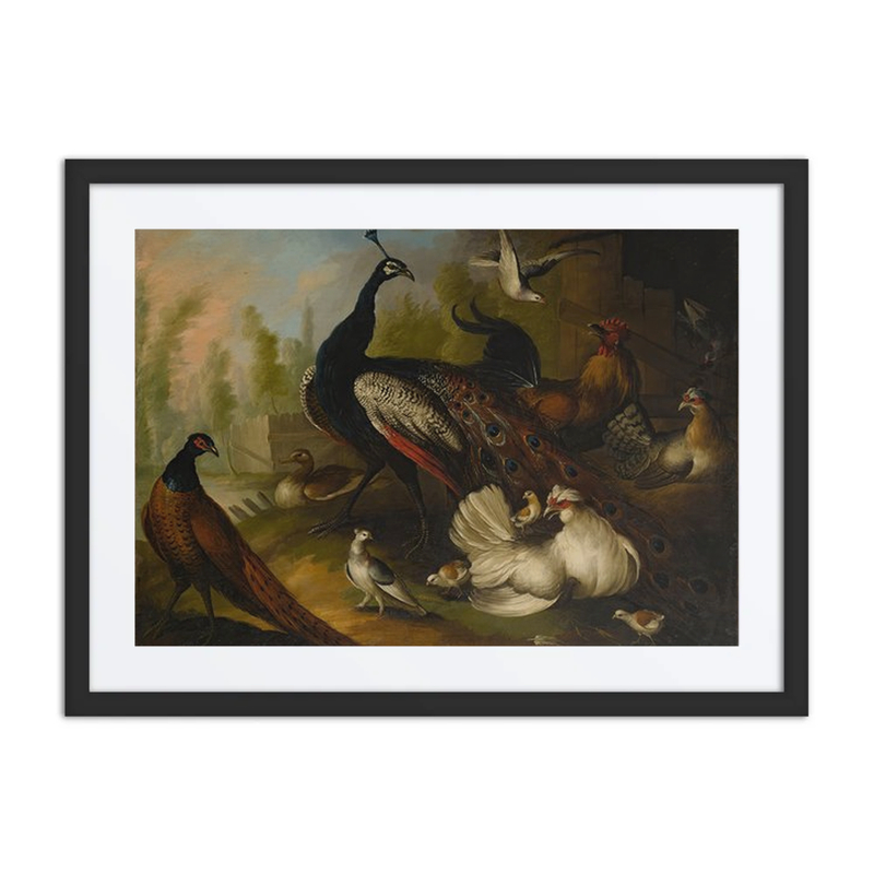 An Assembly of Birds