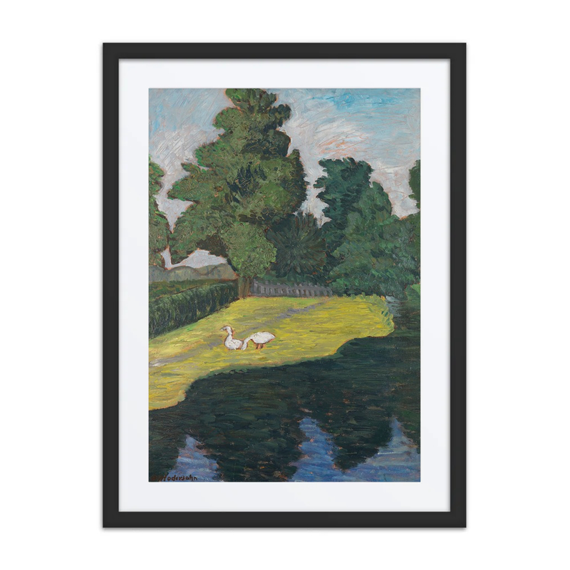 An Der Wümme Mit Gänsen