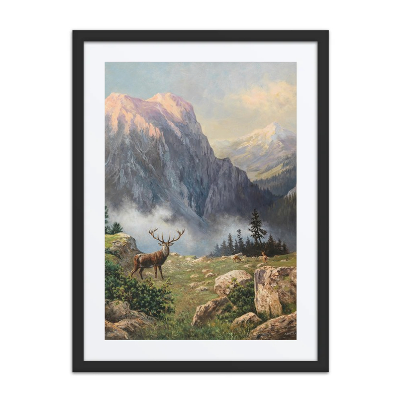 An Eight-Pointer in the Mountains