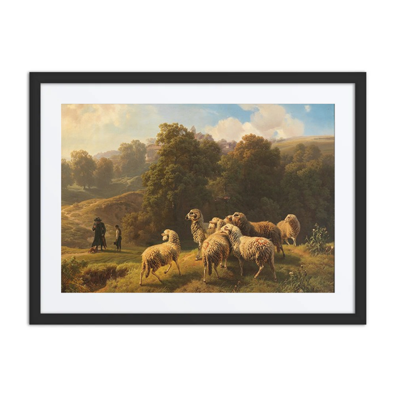 An Encounter on the Sheep Pasture
