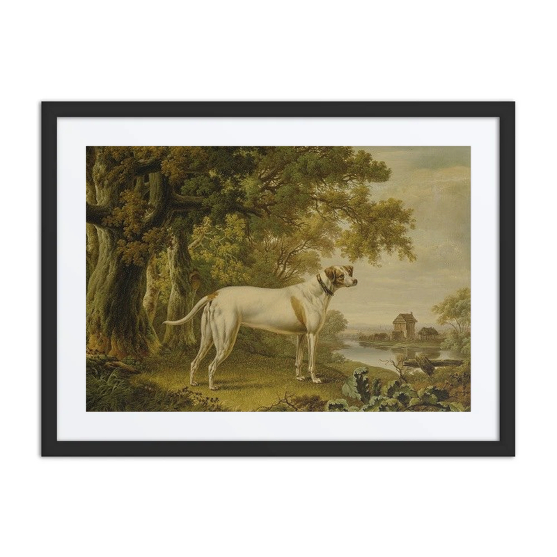 An English Pointer in a Landscape
