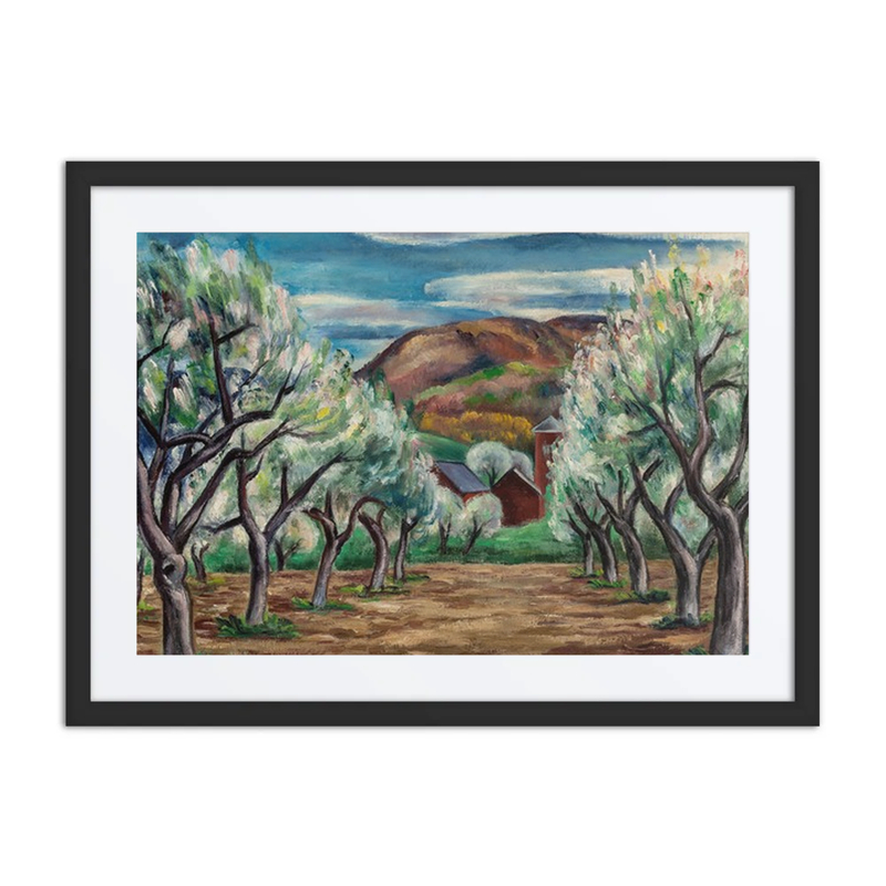 Apple Orchard