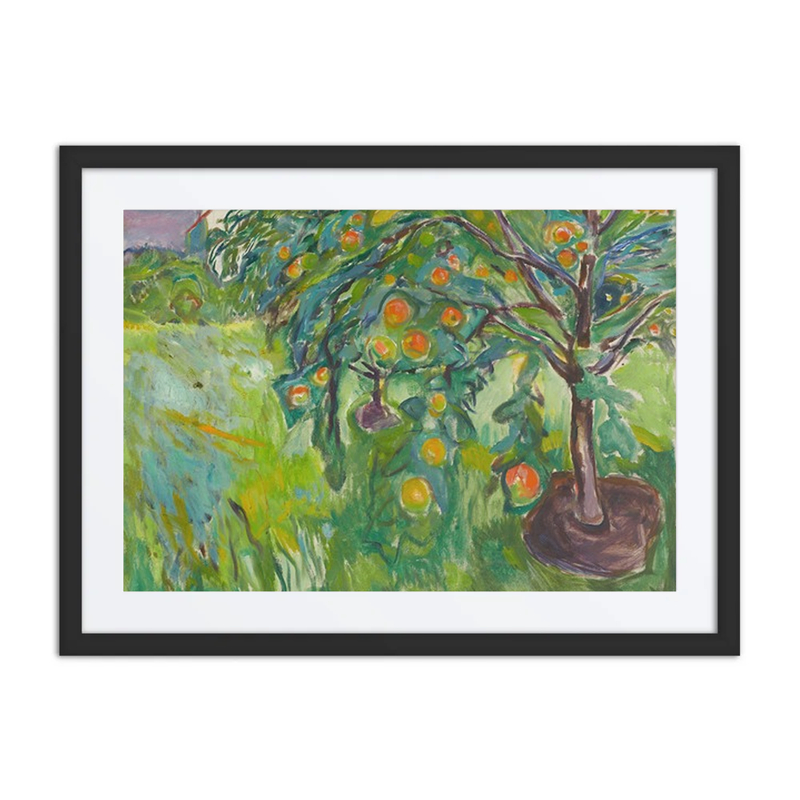 Apple Tree by the Studio