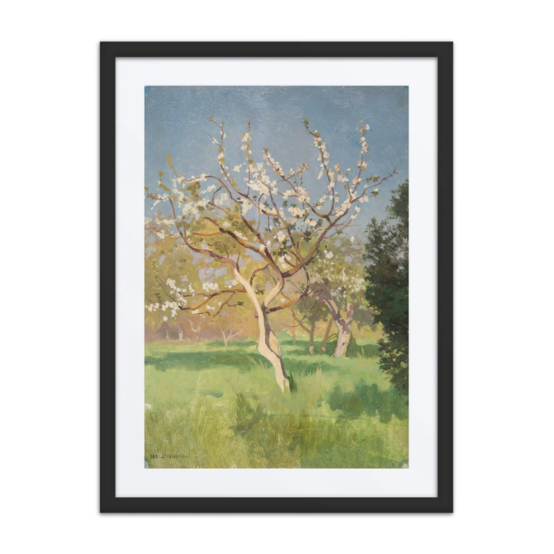 Apple Tree in Bloom