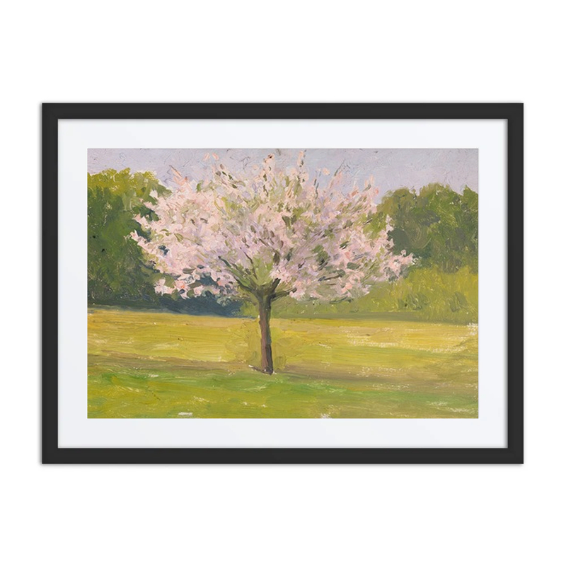 Apple Tree in Blossom