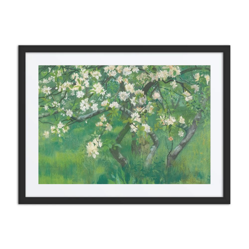 Apple Tree in Blossom