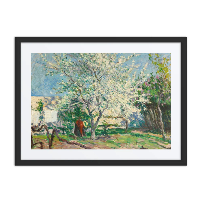 Apple Trees in Bloom