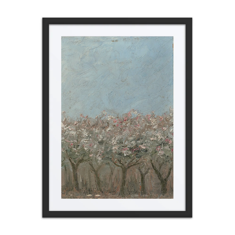 Apple Trees in Blossom